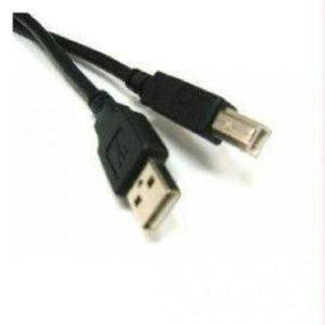 Link Depot Usb 2.0 Cable - 4 Pin Usb Type A - Male - 4 Pin Usb Type B - Male - 10 Feet - Wh