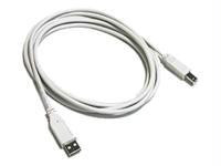 Cables To Go 6 ft USB2.0 A-B Cable