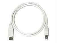 Cables To Go 3 ft USB2.0 A-B Cable