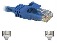 75ft CAT6 Patch Cbl Blue