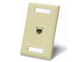 1-Port CAT5e Configured Wallplate Ivory