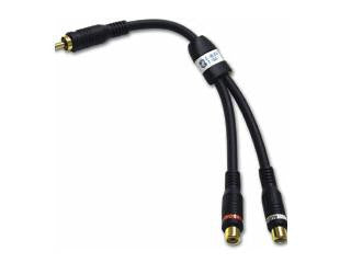 Velocity RCA Male to (2) Female Y-Cable
