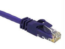 5ft CAT6 Snagless Patch Cable Purple