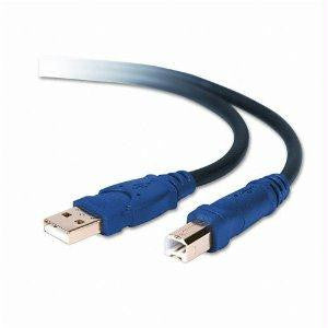 Belkin Components Usb Cable - 4 Pin Usb Type A - Male - 4 Pin Usb Type B - Male - 10 Feet - Usb -