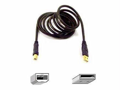 Gold Series USB cable A-B 6ft