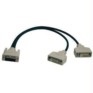 Tripp Lite 1ft Dvi Splitter Cable