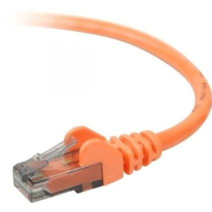 Belkinponents Cat6 Snagless Patch Cable Rj45m-rj45m; 14 Orange