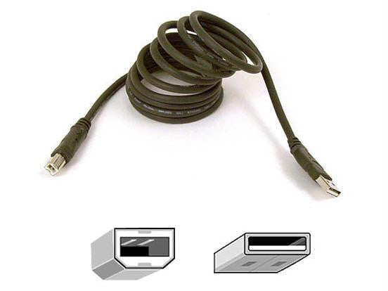 Belkin Components Belkin Pro Series Hi-speed Usb 2.0 Cable, 3 Ft