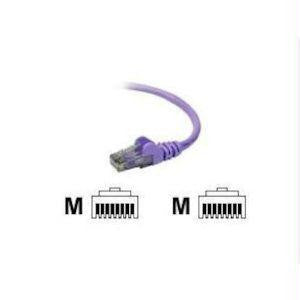 Belkinponents 6ft Cat6 Snagless Patch Cable, Utp, Purple Pvc Jacket, 23awg, 50 Micron, Gold Pl