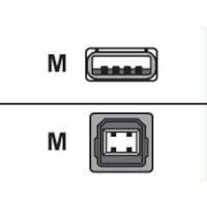 Okidata Printer Cable - 4 Pin Usb Type A - Male - 4 Pin Usb Type B - Male - 10 Ft