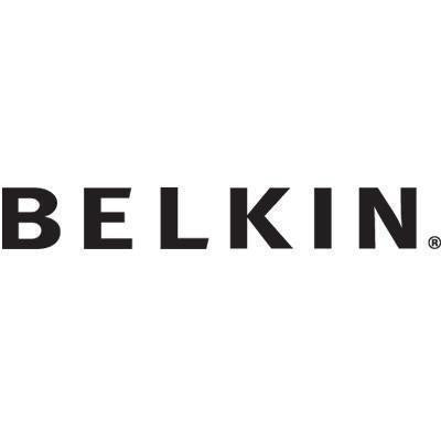 Belkin Components Dvi-usb-aud Kvm Cable, 10ft