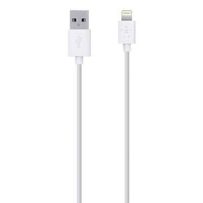 Belkin Components Sync-charge Cable, 1.2m, 4ft