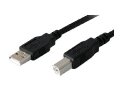 Add-on-computer Peripherals, L Addon 6ft Usb 2.0 (a) Male To Usb 2.0 (b) Male Blue Cable Taa Compl