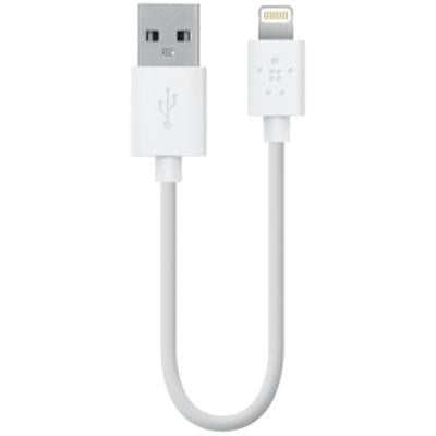 Belkin Components Sync-charge Cable,2.4a,ltg,6 In White